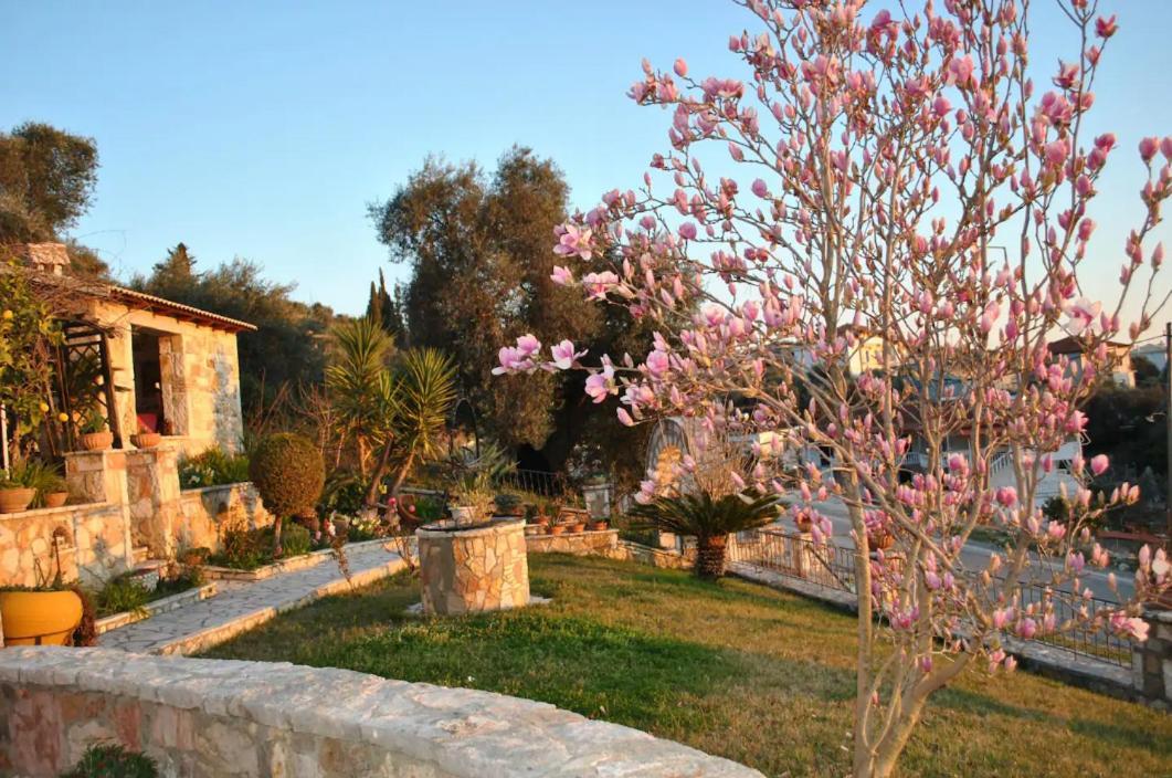 Amaryllis House Apartment Parga Exterior foto