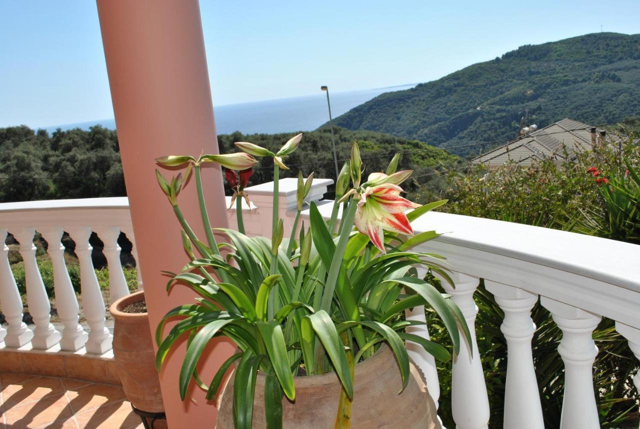 Amaryllis House Apartment Parga Exterior foto